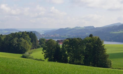 Gemeinsam für die Natur