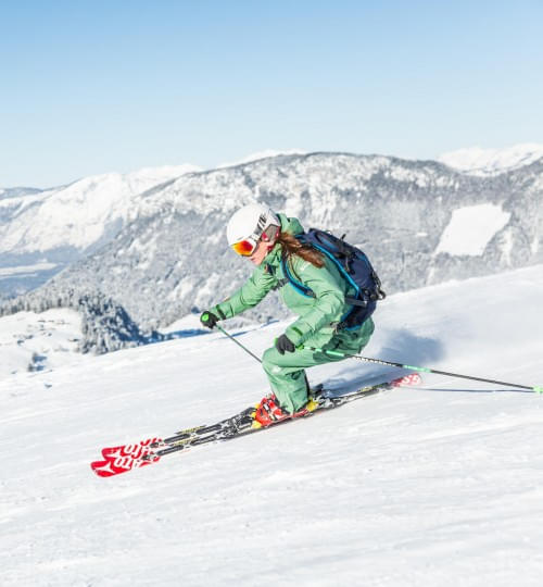 Skifahren-Snowboarden